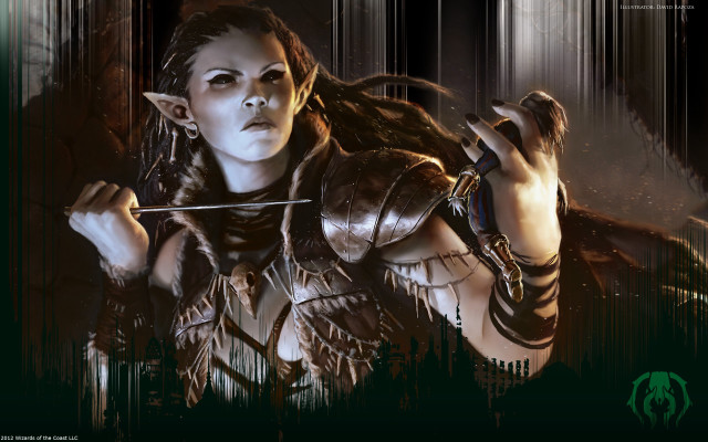 Woman armor sword dark green free wallpaper - medium preview image