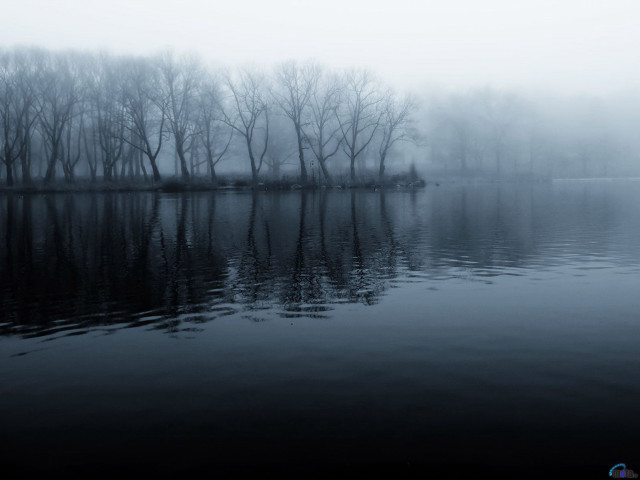 Lake trees fog water foreground free wallpaper - medium preview image