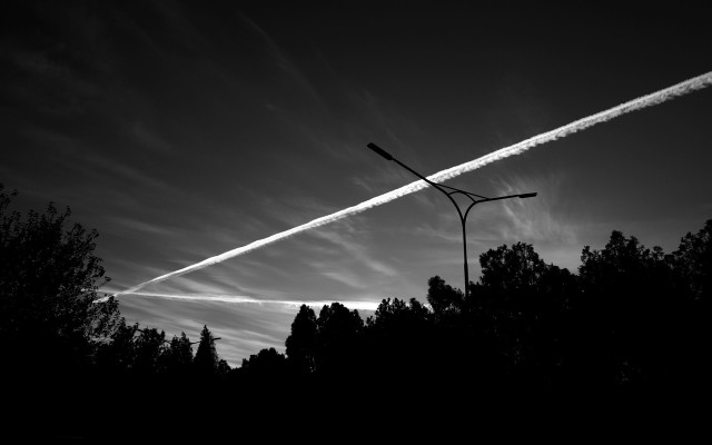 Contrail sky trees lamppost night free wallpaper - medium preview image