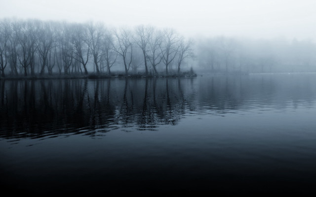 Lake trees fog water reflections free wallpaper - medium preview image
