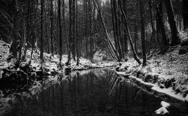 Winter forest stream bw nature free wallpaper - medium preview image