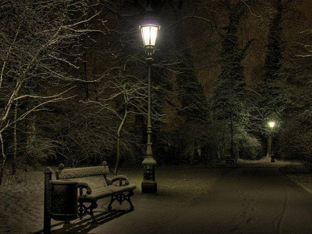 Bench snowy park night street free wallpaper - medium preview image