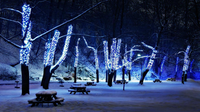 Snowy park glowing lights night free wallpaper - medium preview image