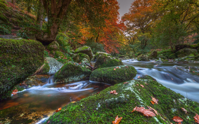 Stream lush forest autumn colorful free wallpaper - medium preview image
