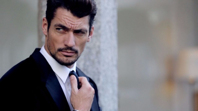 Man suit tie adjusting looking free wallpaper - medium preview image