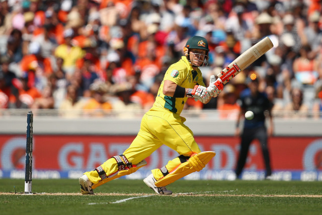 Man yellow batting field crowd free wallpaper - medium preview image