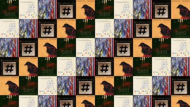 Black bird yellow background pattern free wallpaper - medium preview image