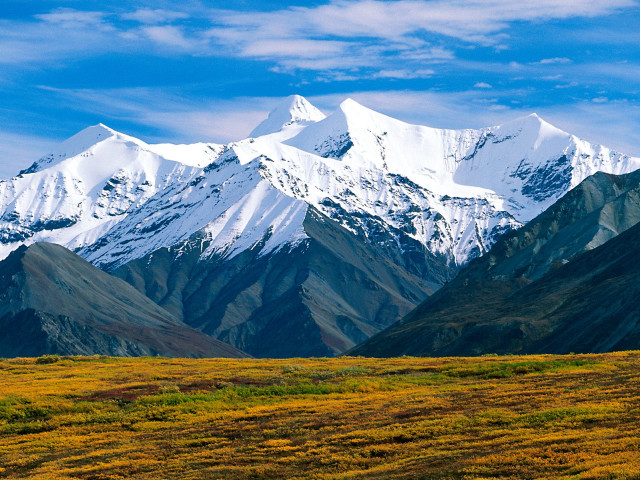 Horse field mountains grass nature free wallpaper - medium preview image