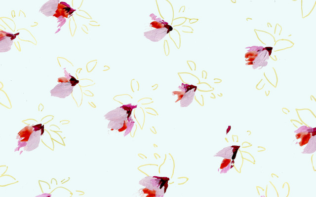 Pink red flowers white background free wallpaper - medium preview image