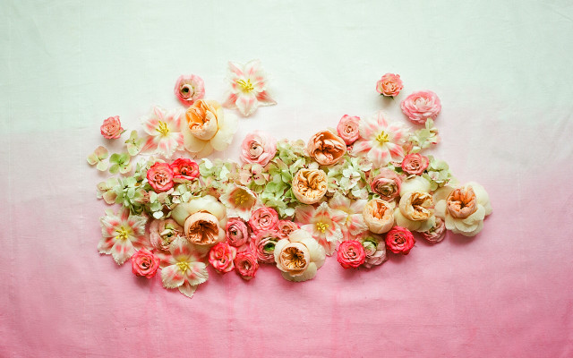 Flowers pink surface white background free wallpaper - medium preview image