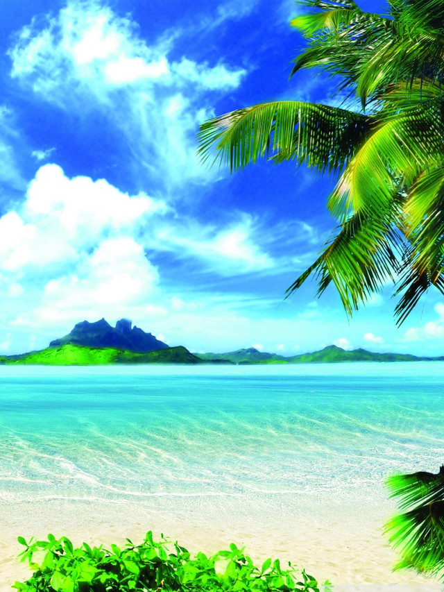 Tropical beach palm tree mountain free wallpaper - medium preview image