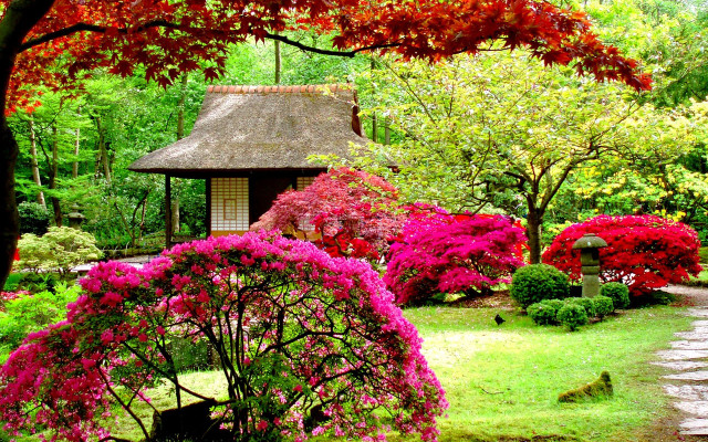 Garden small house trees flowers #3 free wallpaper - medium preview image