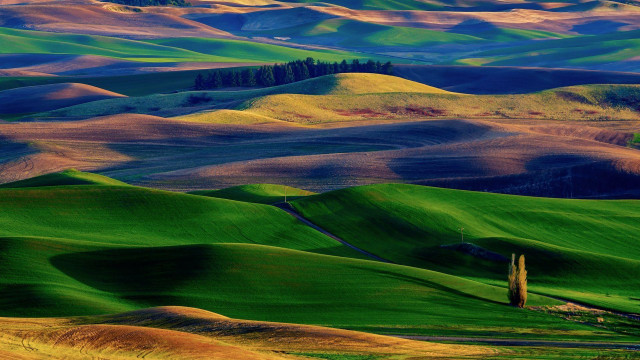 Green field fence hills background free wallpaper - medium preview image