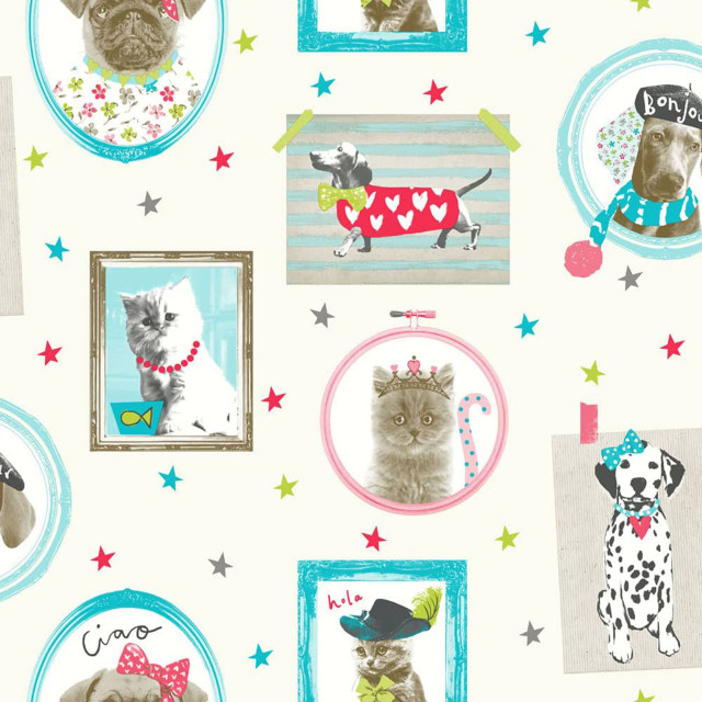 Dog cat picture frame wallpaper free wallpaper - medium preview image