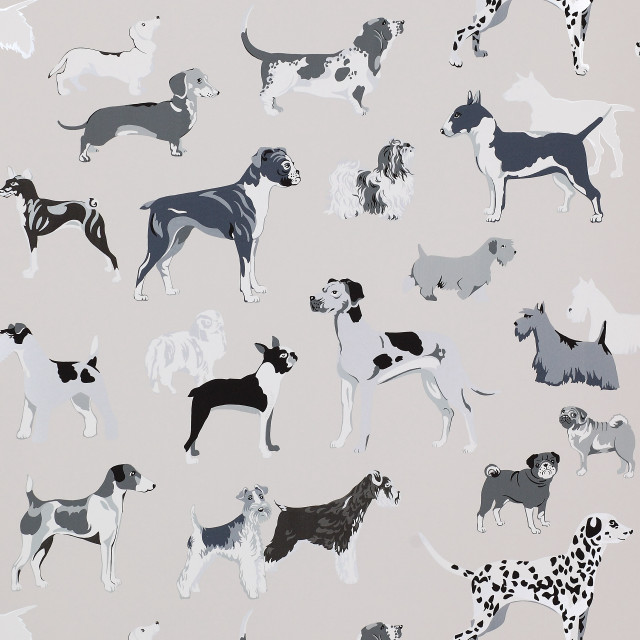 Dogs group grass wallpaper background free wallpaper - medium preview image