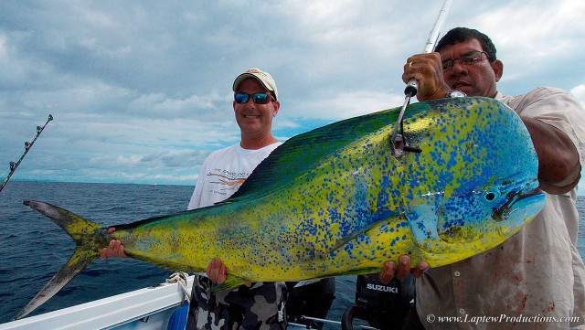 Two men big fish boat free wallpaper - medium preview image