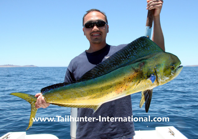 Man holding fish boat water free wallpaper - medium preview image