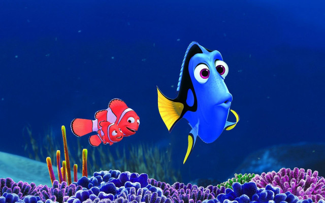 Blue fish red fish swimming free wallpaper - medium preview image
