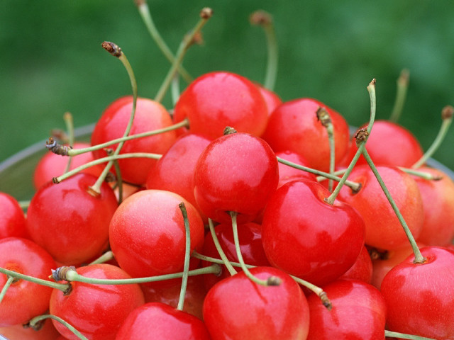 Bowl of cherries with green free wallpaper - medium preview image