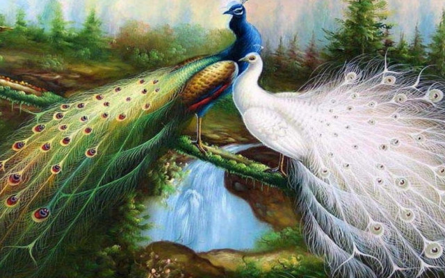 Peacocks tree branch waterfall forest free wallpaper - medium preview image