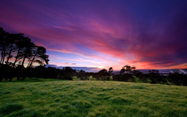 Field trees sunset clouds purple free wallpaper - medium preview image