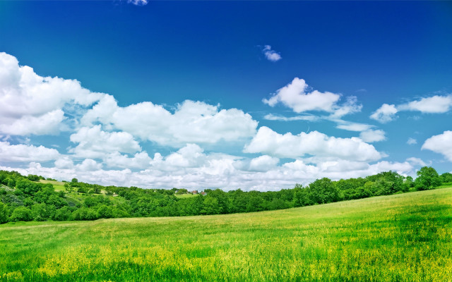 Field blue sky clouds green free wallpaper - medium preview image