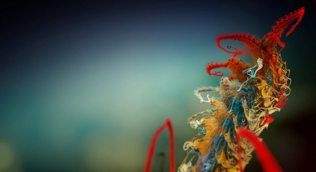 Colorful art blue background red #3 free wallpaper - medium preview image