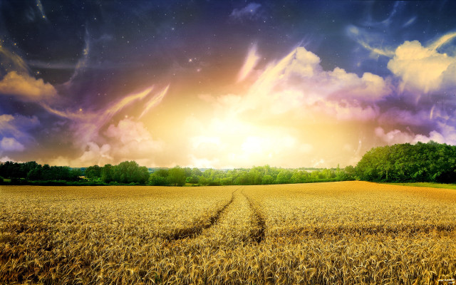 Wheat field cloudy sky sunbeam free wallpaper - medium preview image
