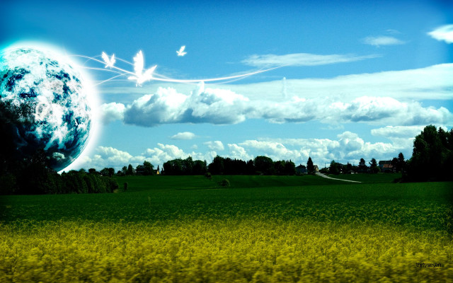 Field blue sky green trees free wallpaper - medium preview image
