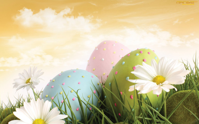 Eggs grass daisies sky clouds free wallpaper - medium preview image