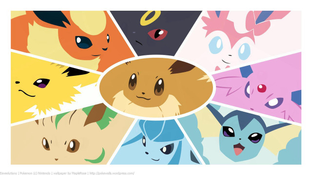 Colorful cats variety faces playful free wallpaper - medium preview image