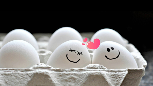 Carton of eggs with faces free wallpaper - medium preview image