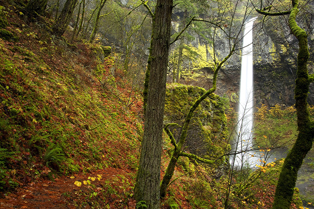 Waterfall woods bench trees leaves free wallpaper - medium preview image