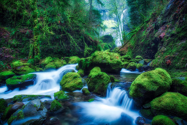 Stream lush forest rocks mossy #4 free wallpaper - medium preview image