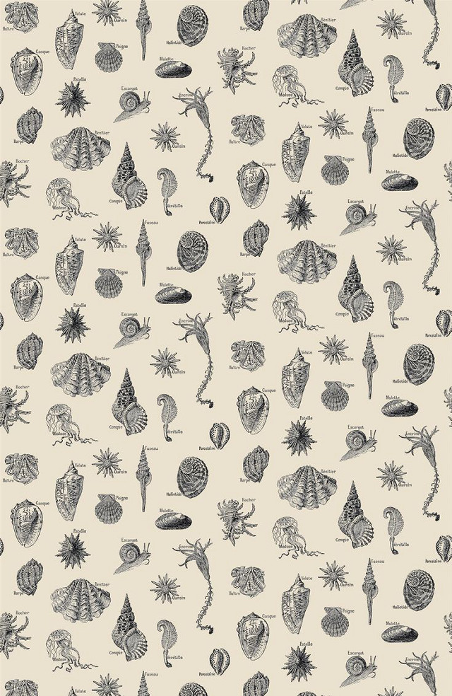 Sea animals pattern white background free wallpaper - medium preview image