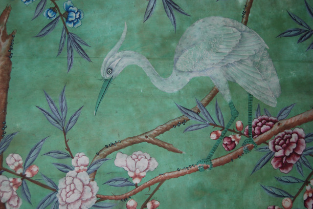 Bird branch flowers leaves green free wallpaper - medium preview image