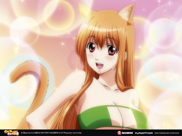Anime girl long hair cat free wallpaper - medium preview image