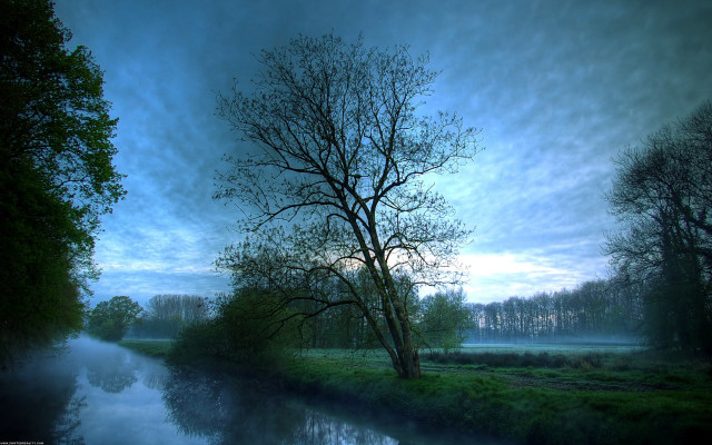 River tree sky clouds distant #2 free wallpaper - medium preview image