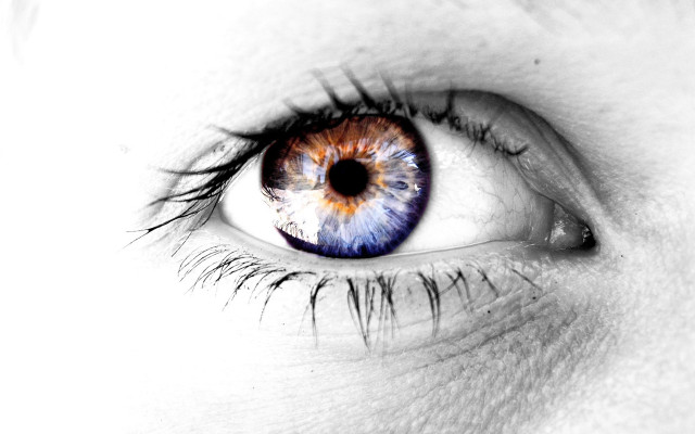 Close up blue brown eye free wallpaper - medium preview image