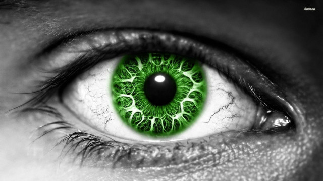 Green eye green iris black free wallpaper - medium preview image