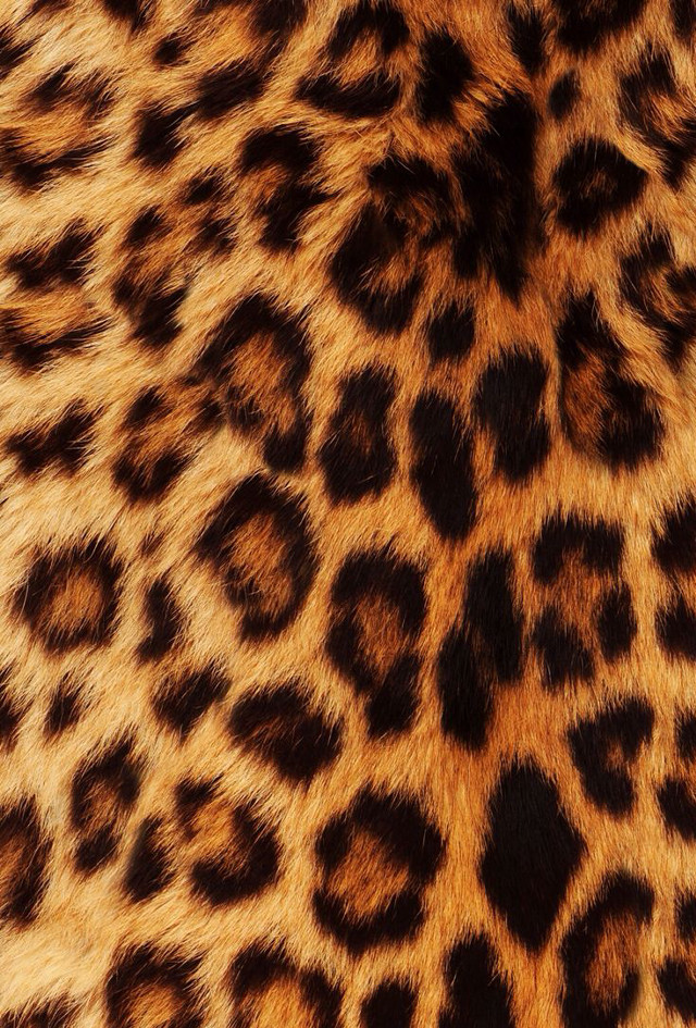 Leopard print fur closeup pattern free wallpaper - medium preview image