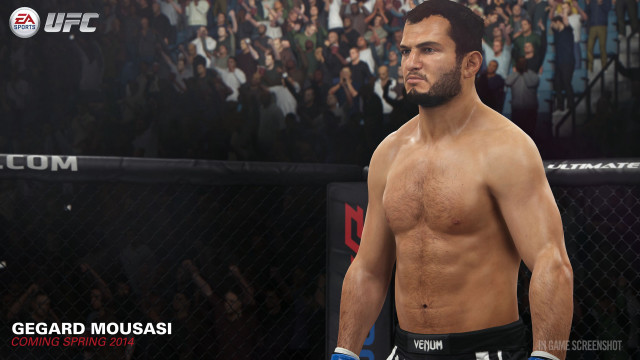 Man boxing ring crowd video free wallpaper - medium preview image