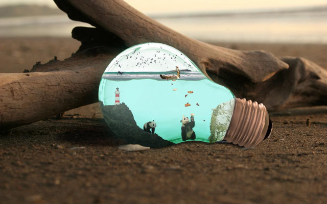 Light bulb beach branch ocean free wallpaper - medium preview image