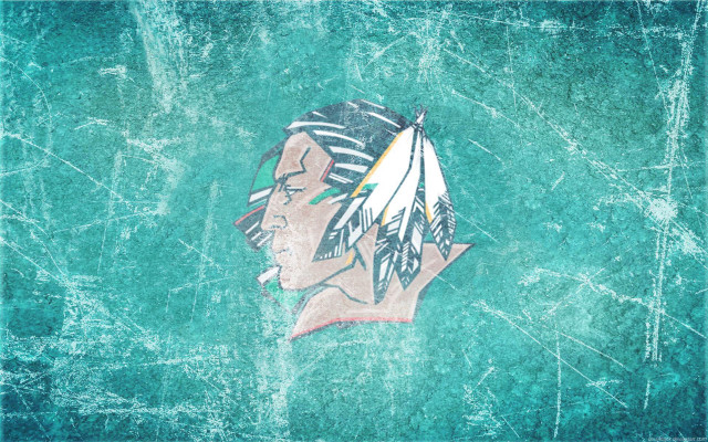 Native american feathers green background free wallpaper - medium preview image