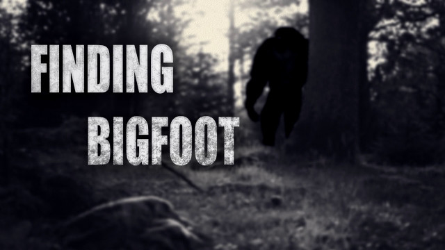 Finding bigfoot black and white free wallpaper - medium preview image