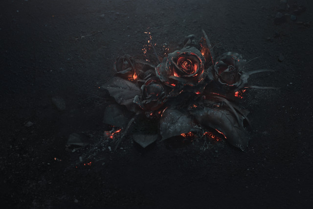 Flowers ground dark night time free wallpaper - medium preview image