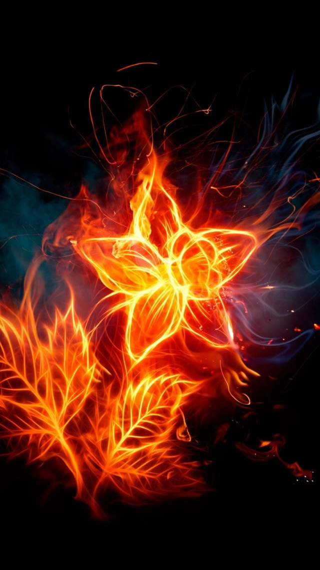 Fire flower bright orange red free wallpaper - medium preview image
