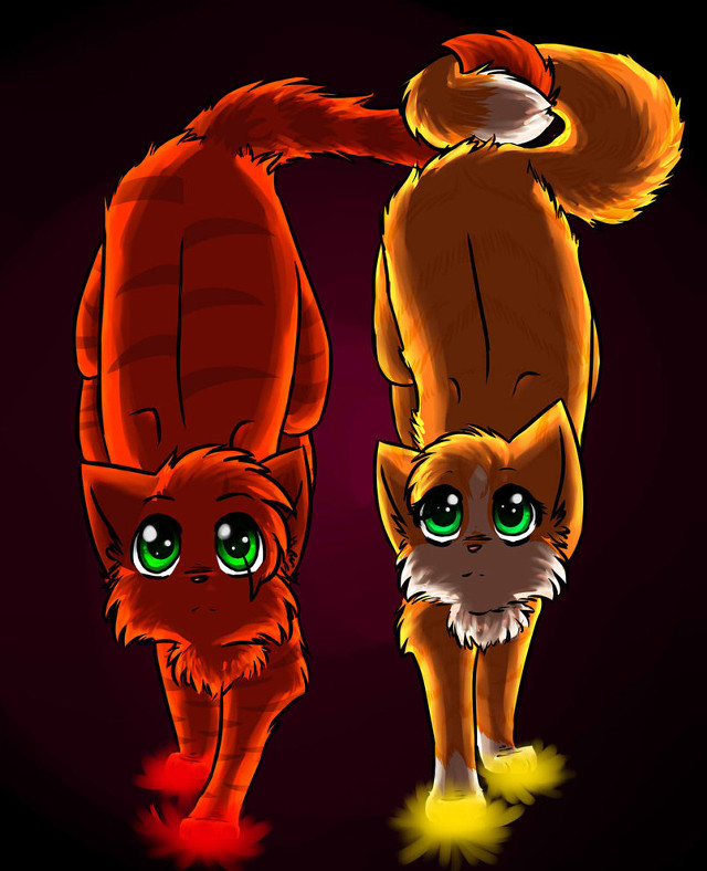 Cats standing black background red free wallpaper - medium preview image