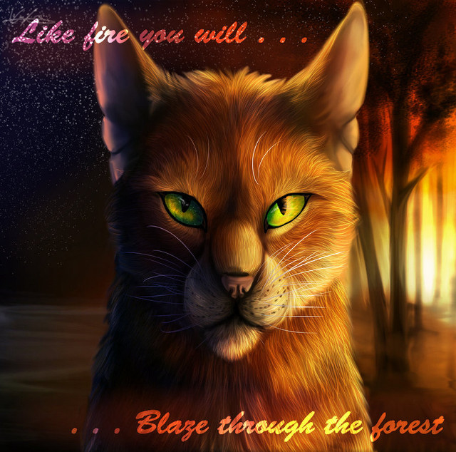 Cat green eyes caption image free wallpaper - medium preview image