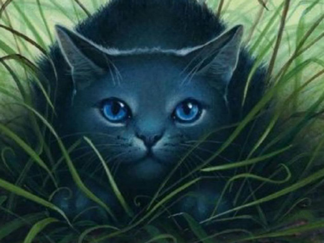 Cat blue eyes hiding grass free wallpaper - medium preview image